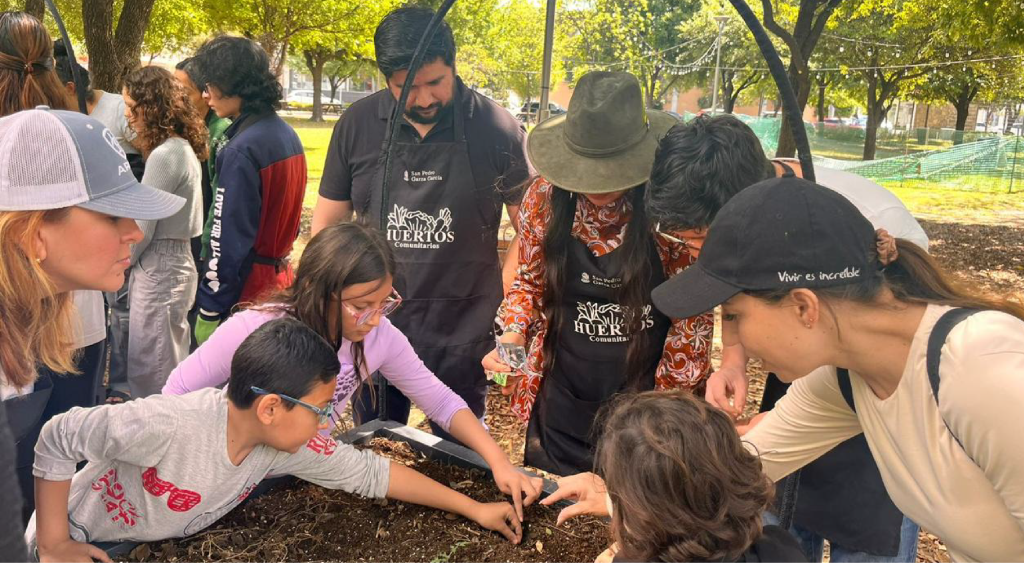 Impartición de clases, cursos o talleres