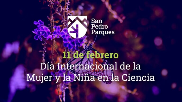 Celebramos el Día Internacional de la Mujer y la Niña en la Ciencia