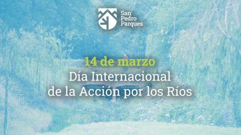  Los arroyos urbanos: más que agua, son vida